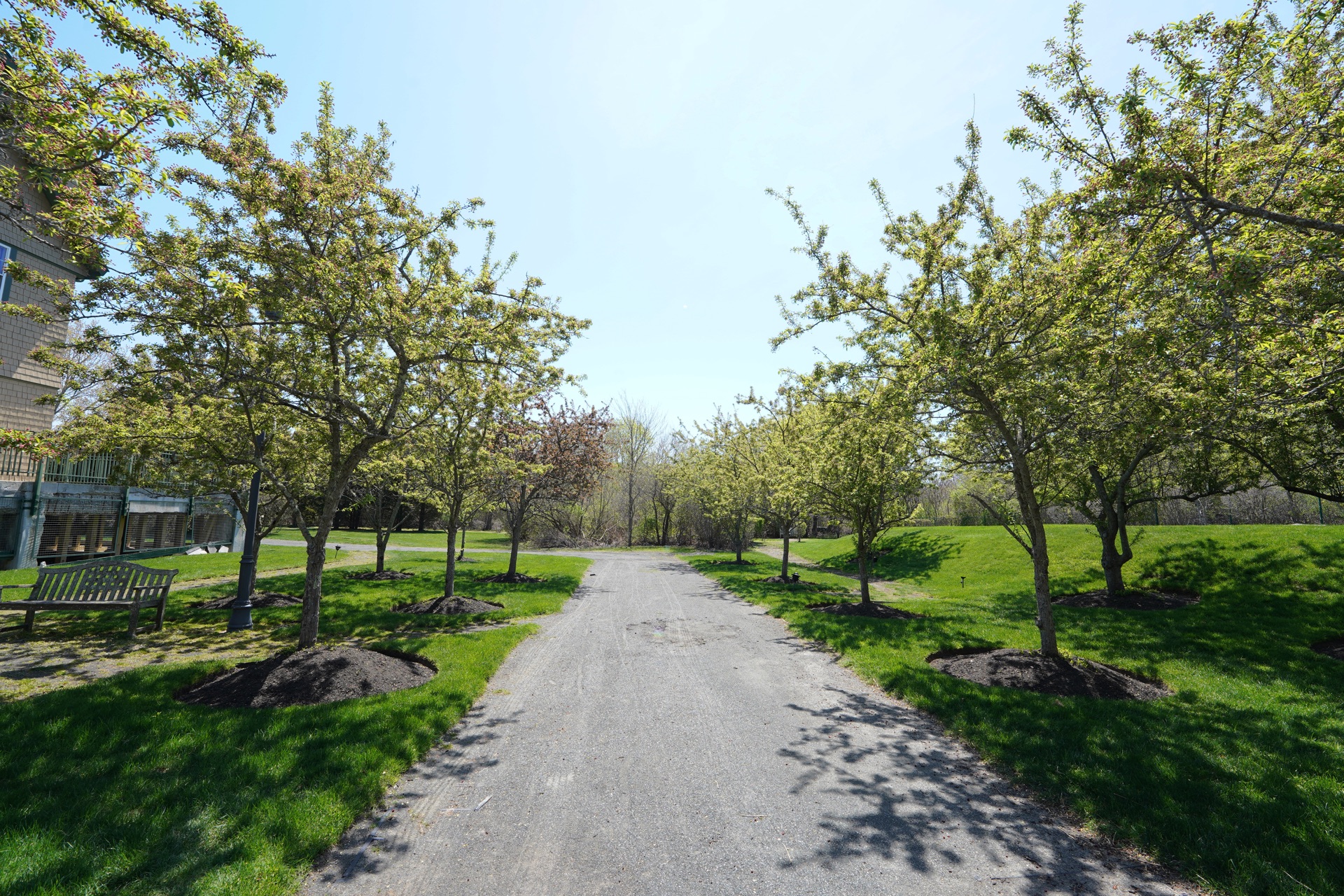 Outdoor walking path at John Bertram House of Swampscott
